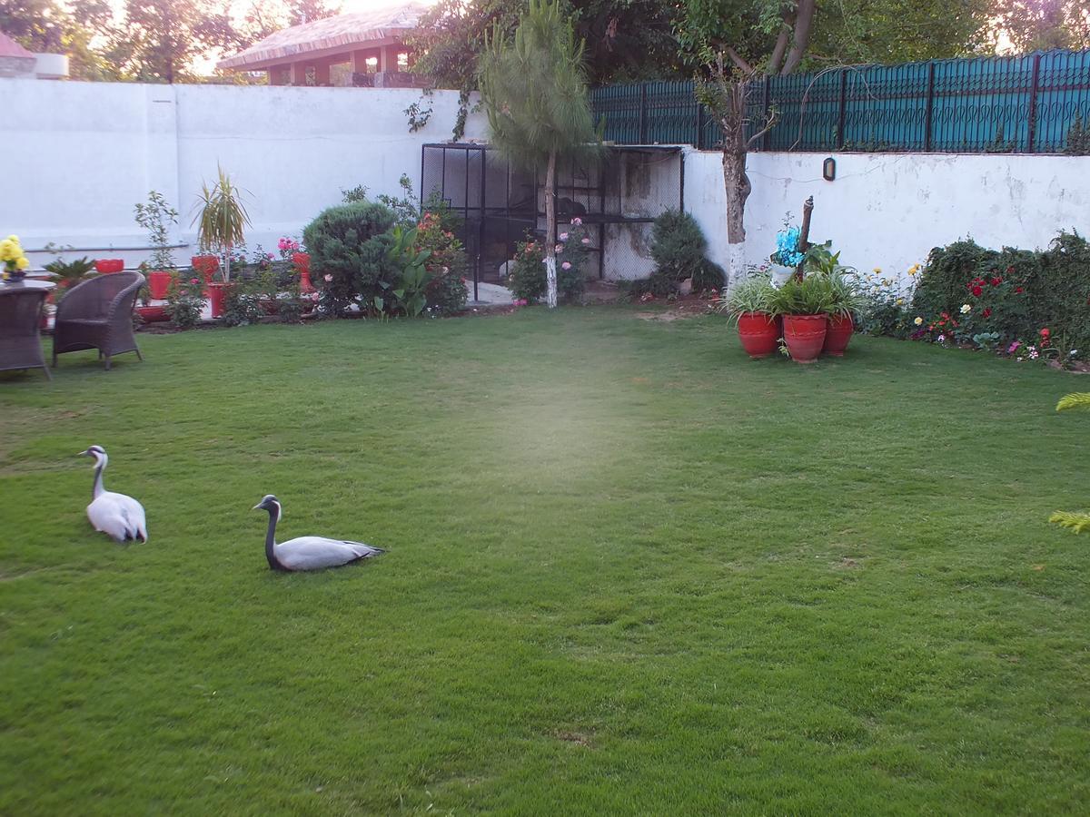 Capetown Guest House อิสลามาบัด ภายนอก รูปภาพ